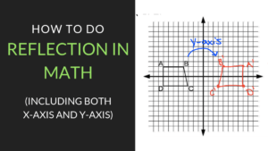 Reflection in Math