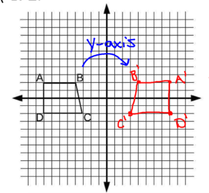 Reflection in Math Solution